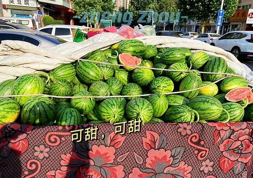 郑州吃瓜娱乐官网,揭秘城市美食与娱乐新风向
